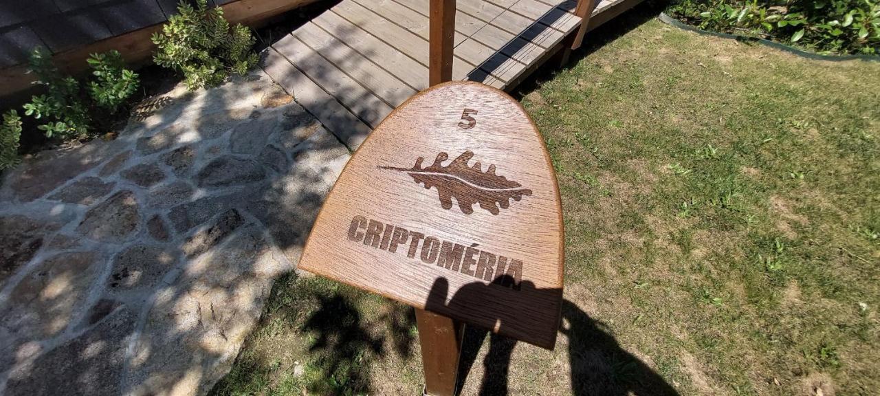 Green Paradise Glamping Covas  Εξωτερικό φωτογραφία